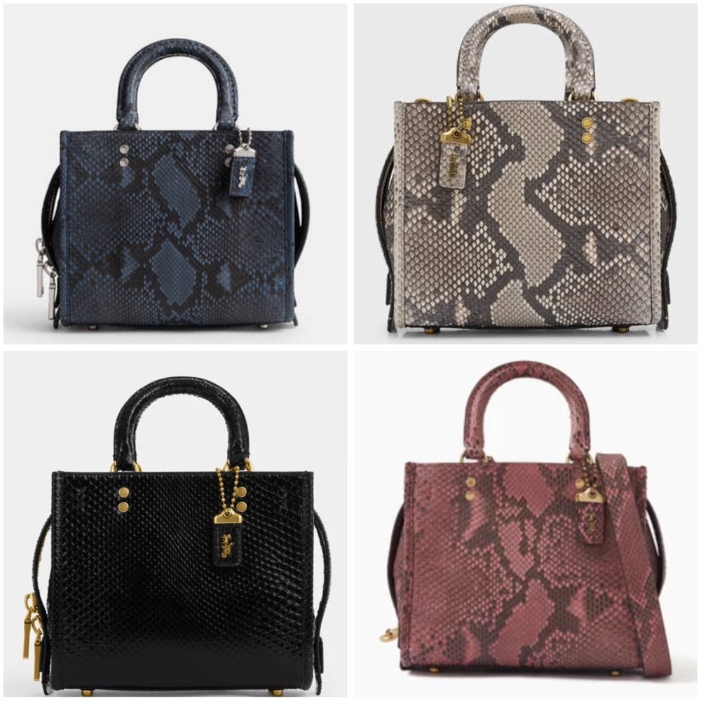 Do not buy looking for Coach rogue 20 in python